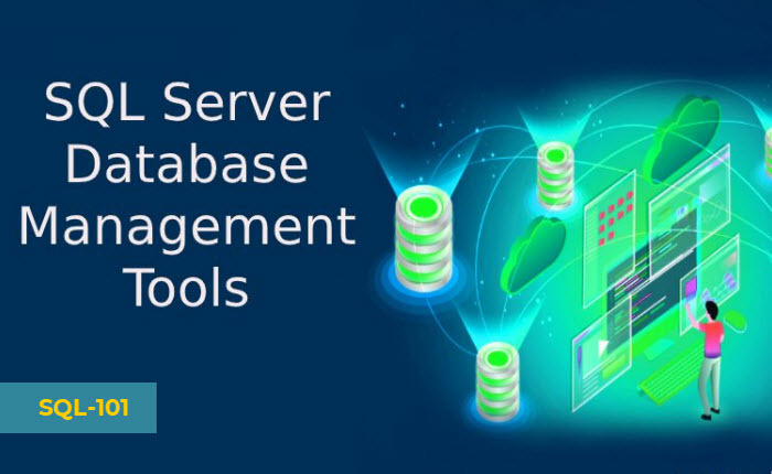 SQL Database Management for Developers